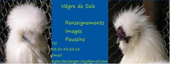http://negres.cowblog.fr/images/logofacebook-copie-1.jpg